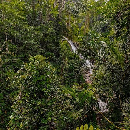 The Sebali Resort Ubud Exterior foto A waterfall in the park